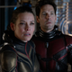 Illustration for article titled Ant Man and The Wasp mid-credits scene leaked.